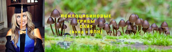 марки lsd Новодвинск