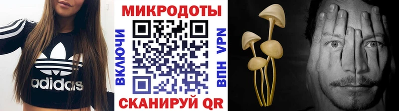 Псилоцибиновые грибы ЛСД  Богородицк 