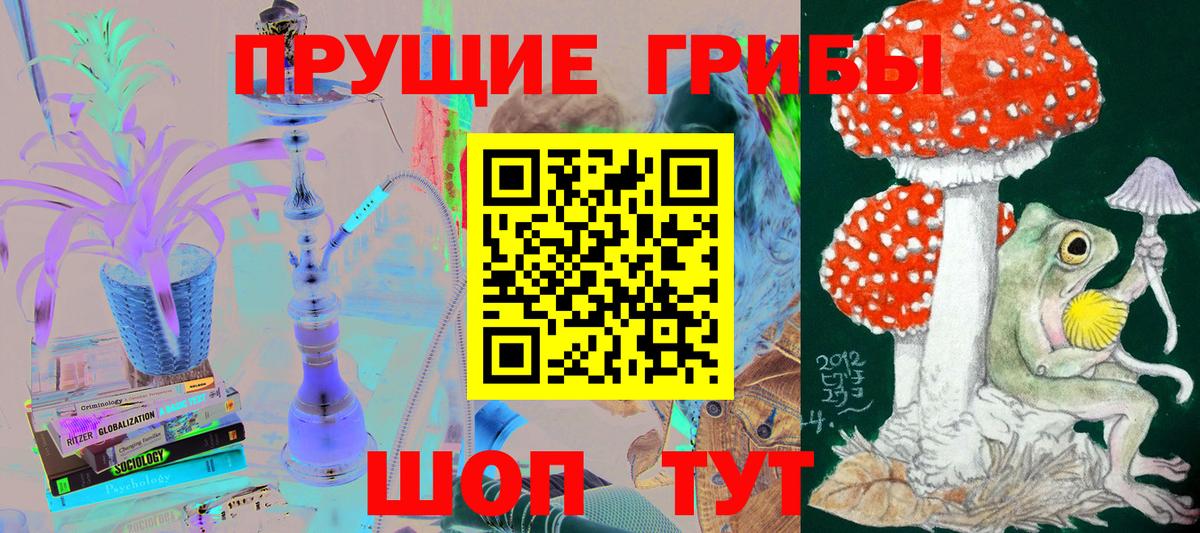 наркошоп  Вход с VPN  Богородицк  Галлюциногенные грибы ЛСД  Галлюциногенные грибы мицелий 