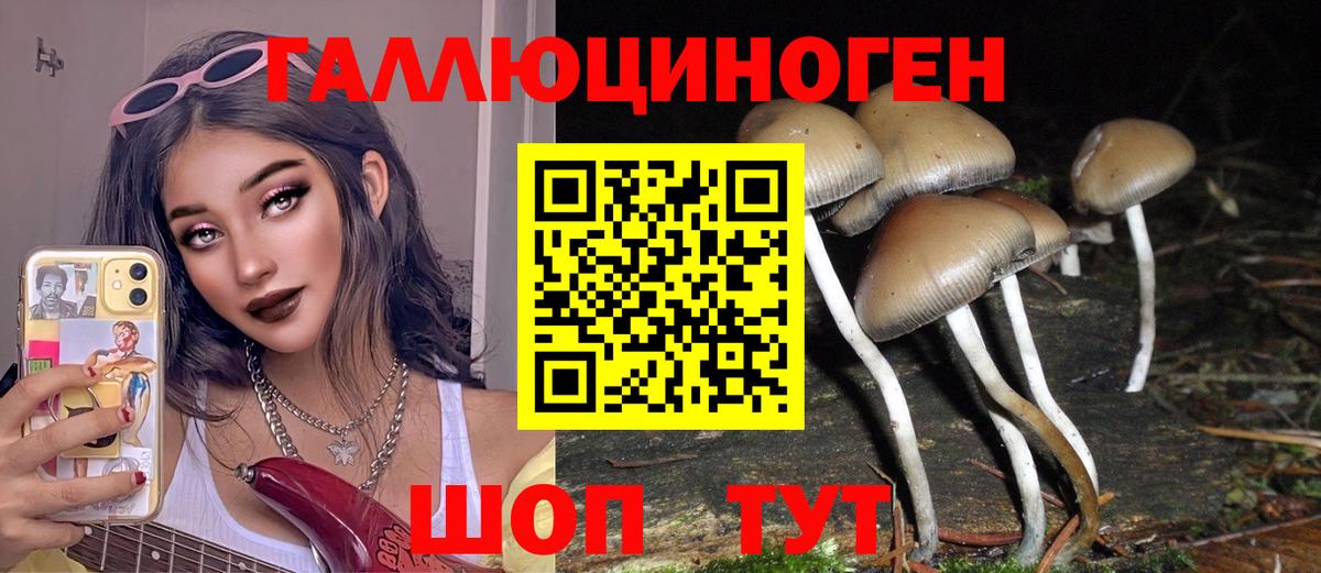 Галлюциногенные грибы GOLDEN TEACHER Богородицк