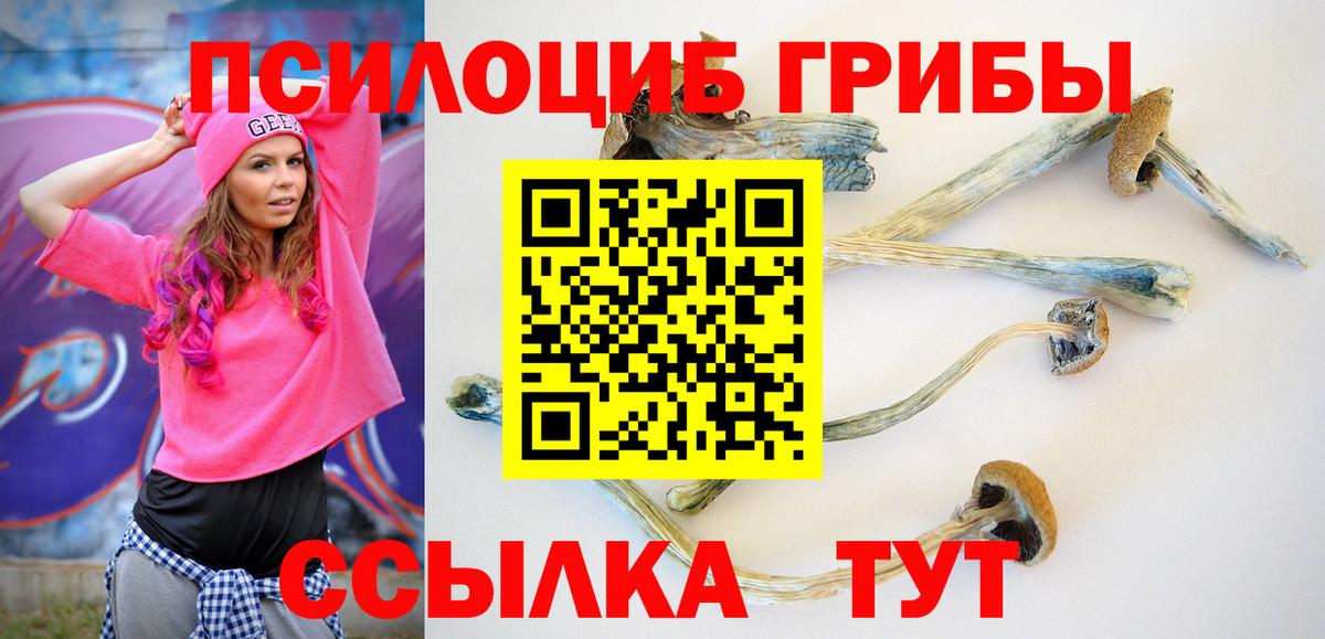 ГАШИШ Богородицк
