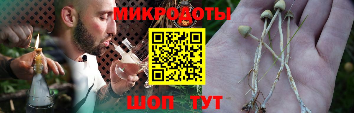 Галлюциногенные грибы Psilocybe Богородицк
