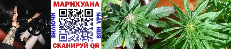 Каннабис индика  Богородицк 
